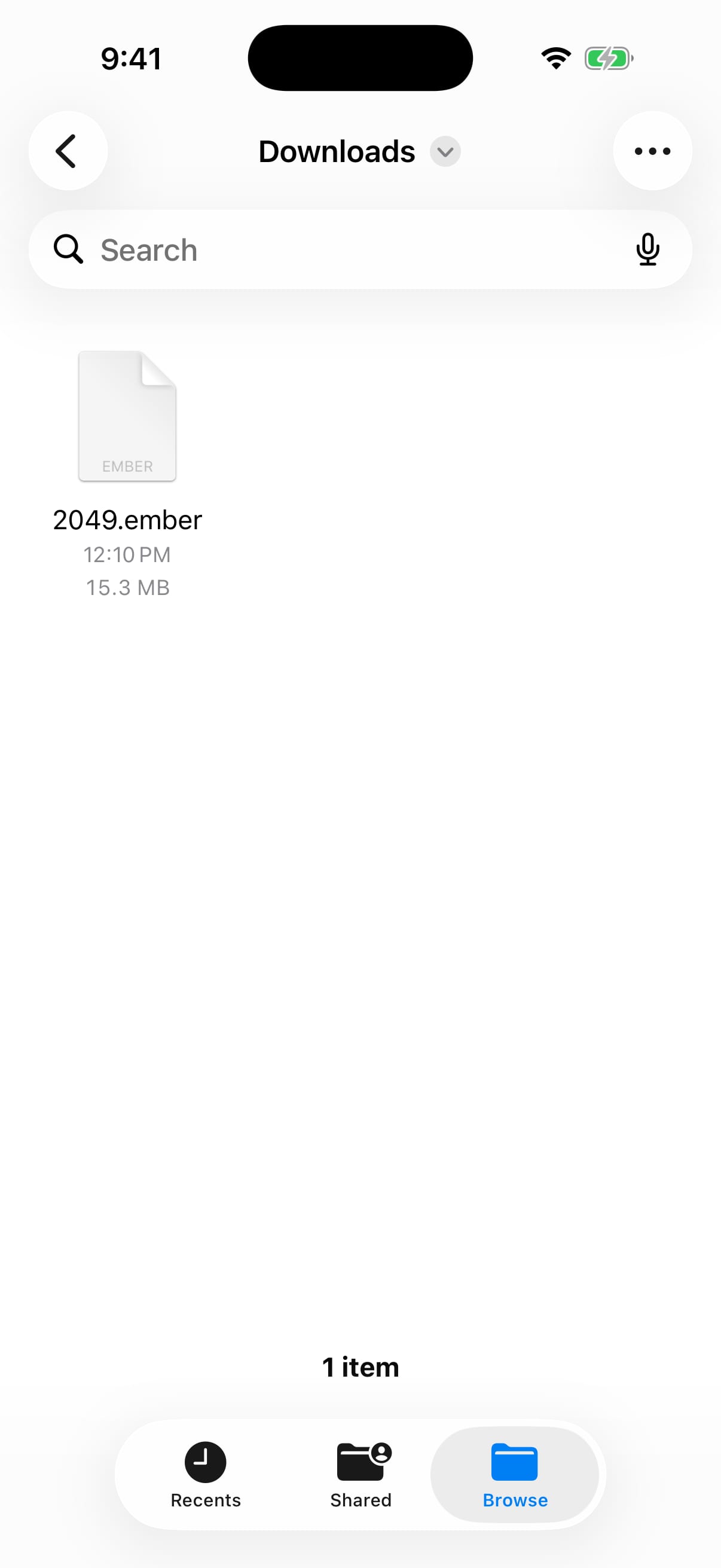 The iPhone Files app open to Downloads with a 2049.ember Ember Noise package ready to open.